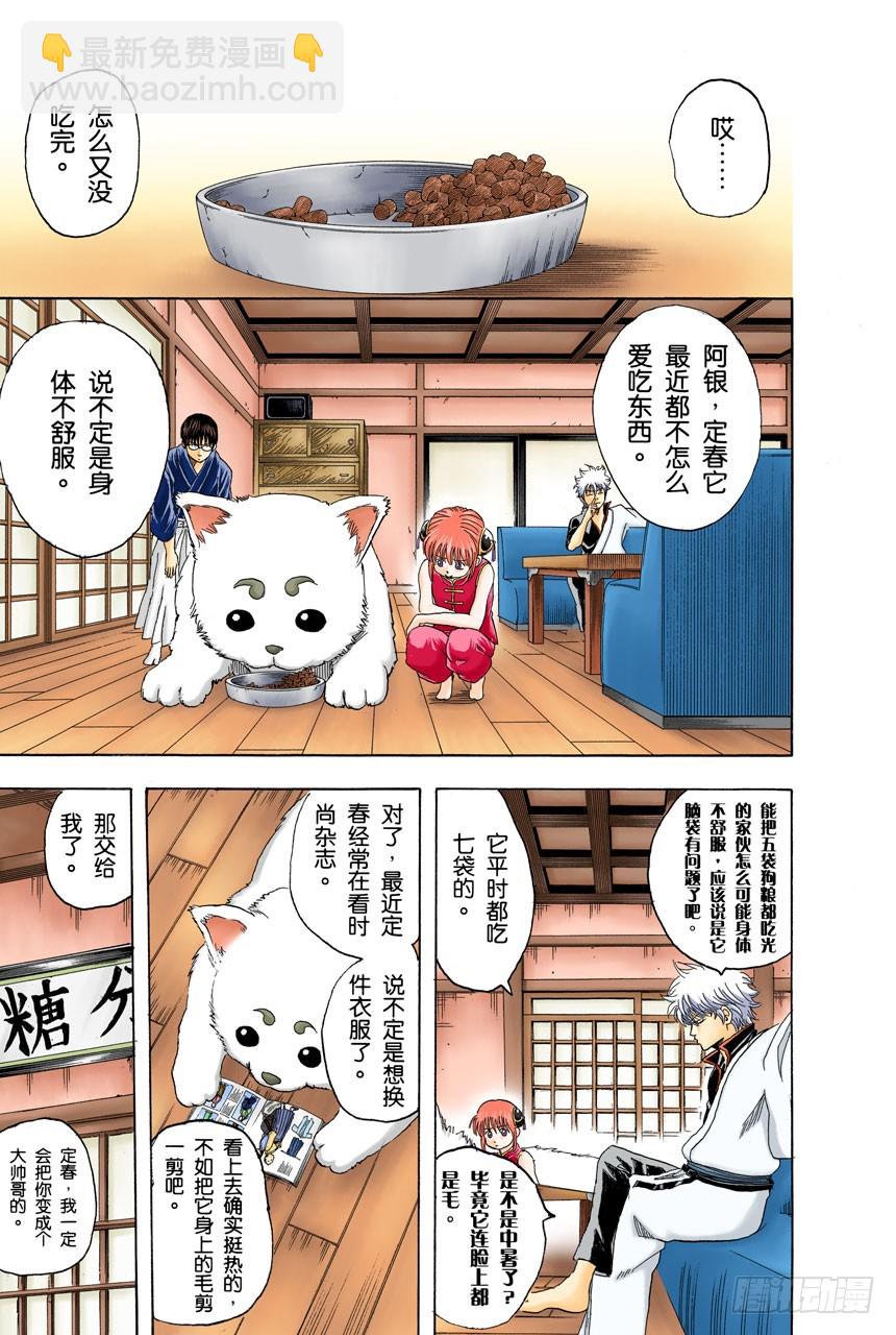 《银魂（全彩版）》狗狗的肉垫有种香味呢 第3页