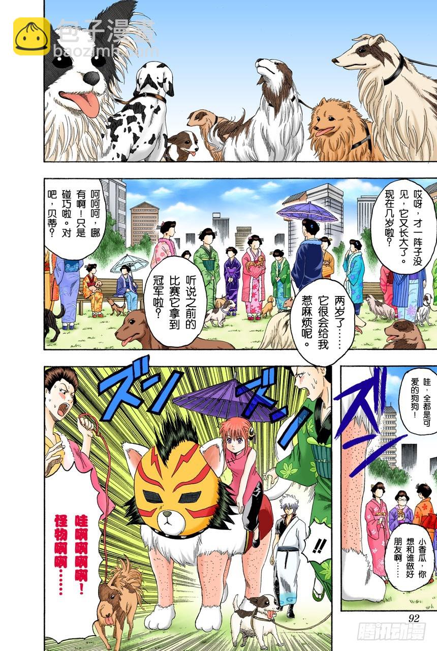 《银魂（全彩版）》狗狗的肉垫有种香味呢 第6页
