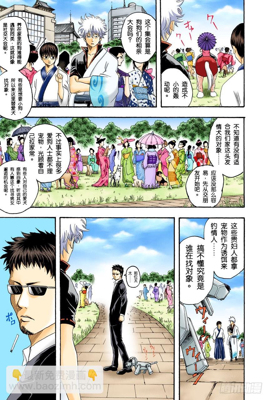 《银魂（全彩版）》狗狗的肉垫有种香味呢 第7页