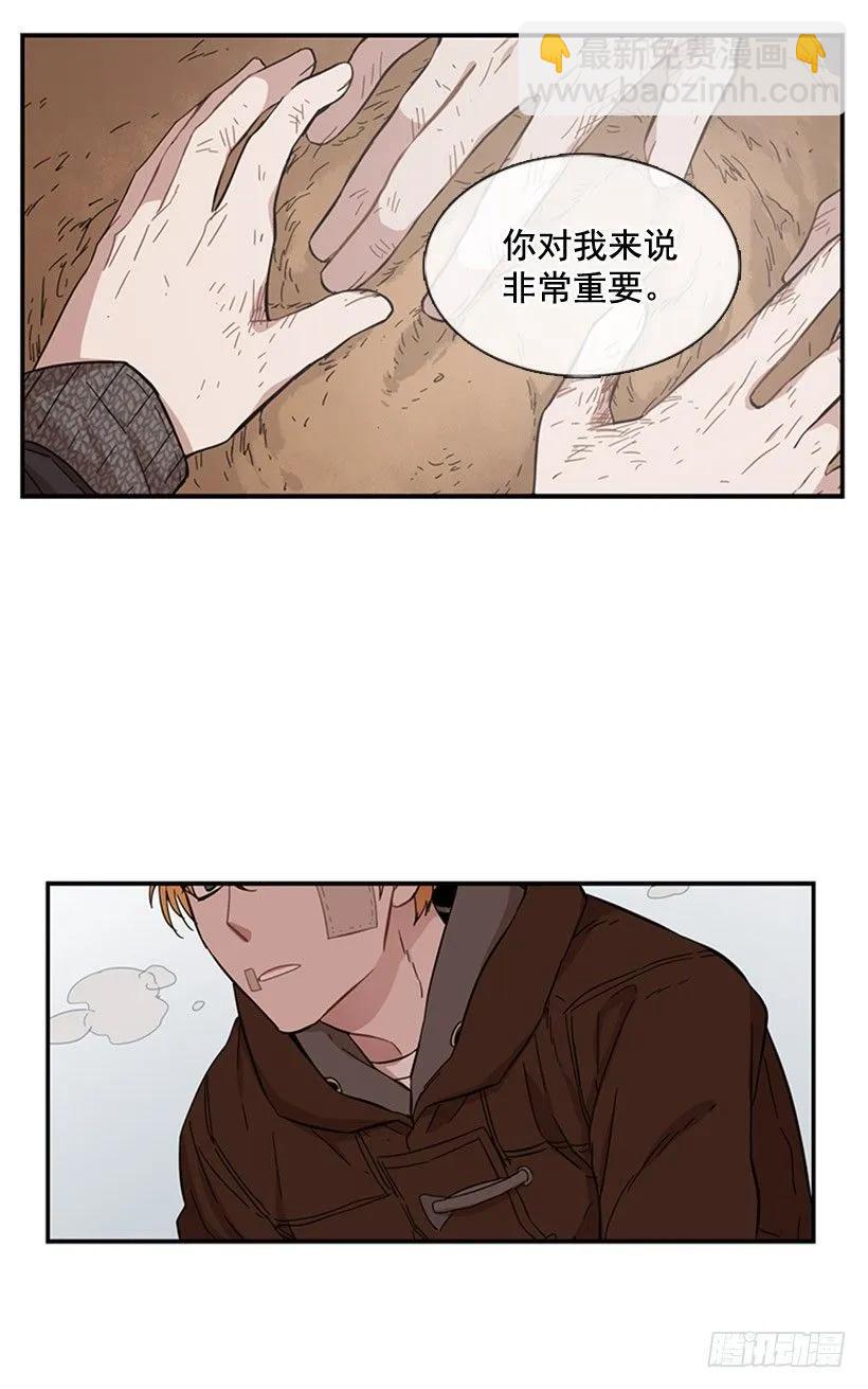 《说不出口的兄妹》她受伤了 第35页