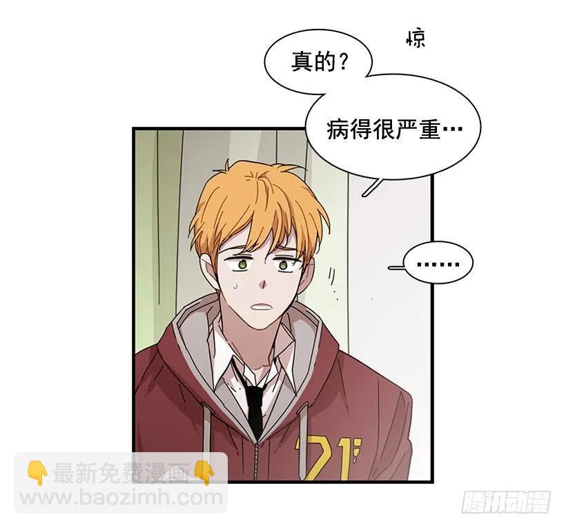 《说不出口的兄妹》在制造伤疤 第17页