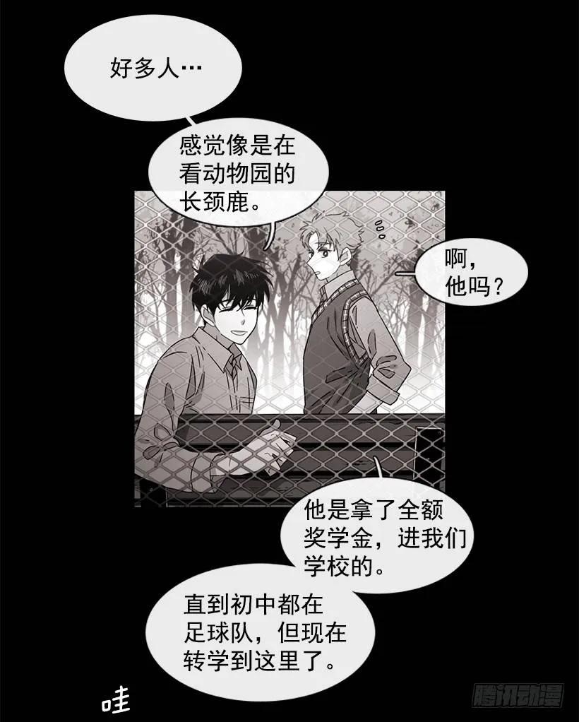 《说不出口的兄妹》她能变得冷血 第4页