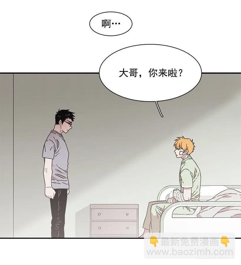 《说不出口的兄妹》她在看远方 第41页