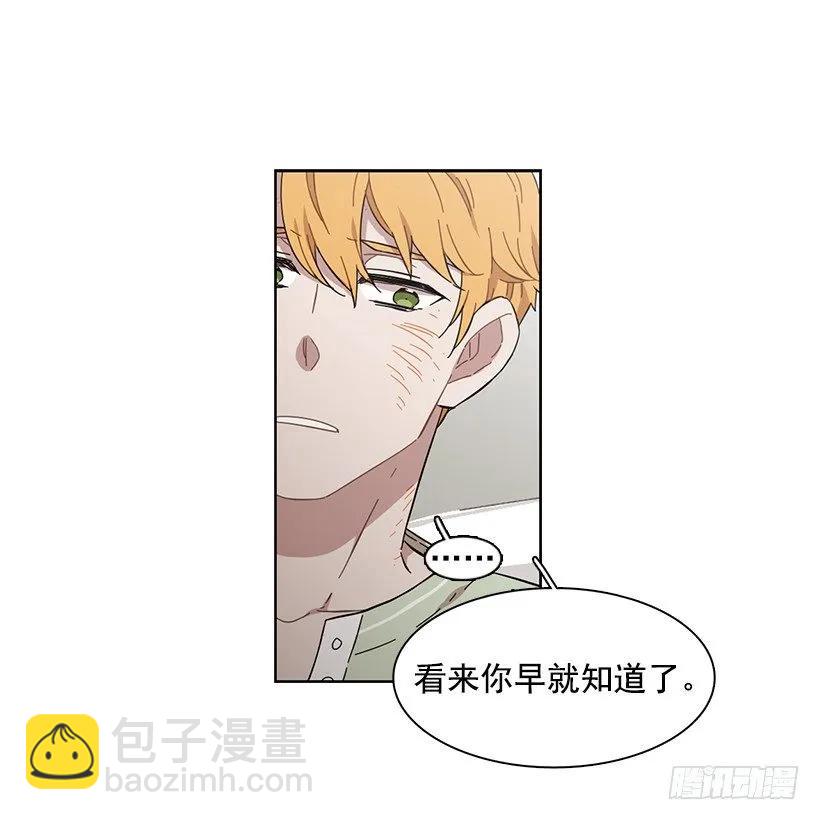 《说不出口的兄妹》她想要的不简单 第33页