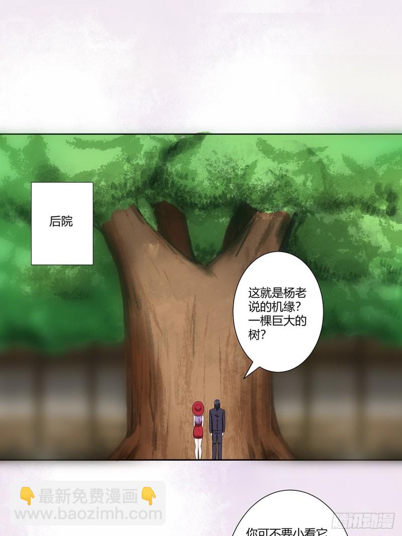 《修仙之人在都市（修仙修后宫）》第66话 一场机缘？？ 第2页