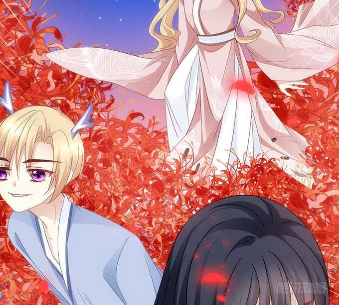 《暗夜无常》第一百零八话天帝之女与妖王之子 第11页