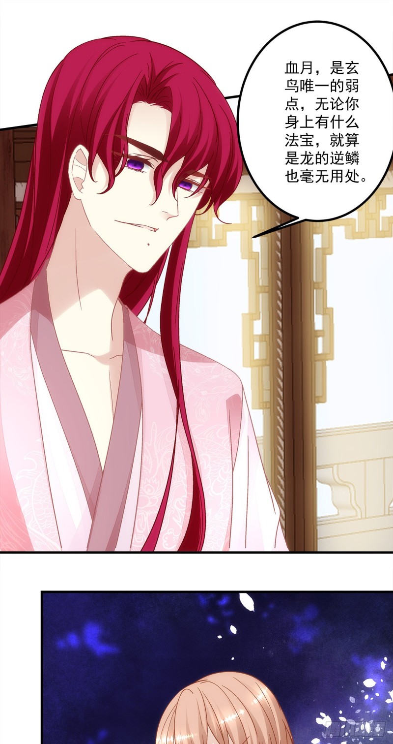 《暗夜无常》第157话血月是玄鸟的弱点 第14页