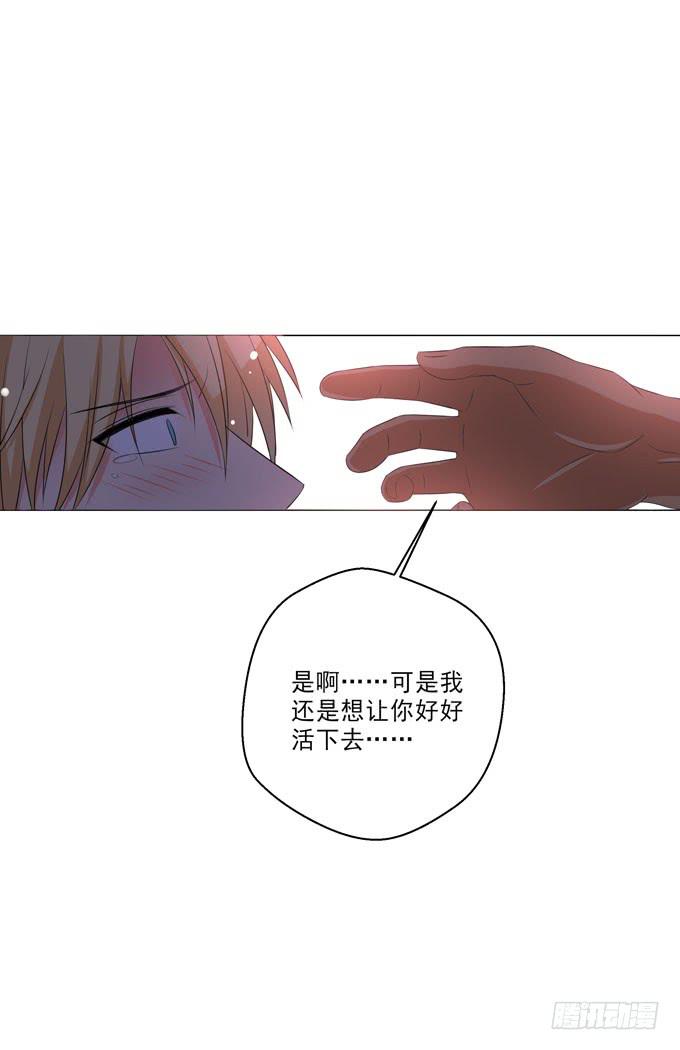 《这货是我的青梅竹马》我愿意再与你相遇 第7页