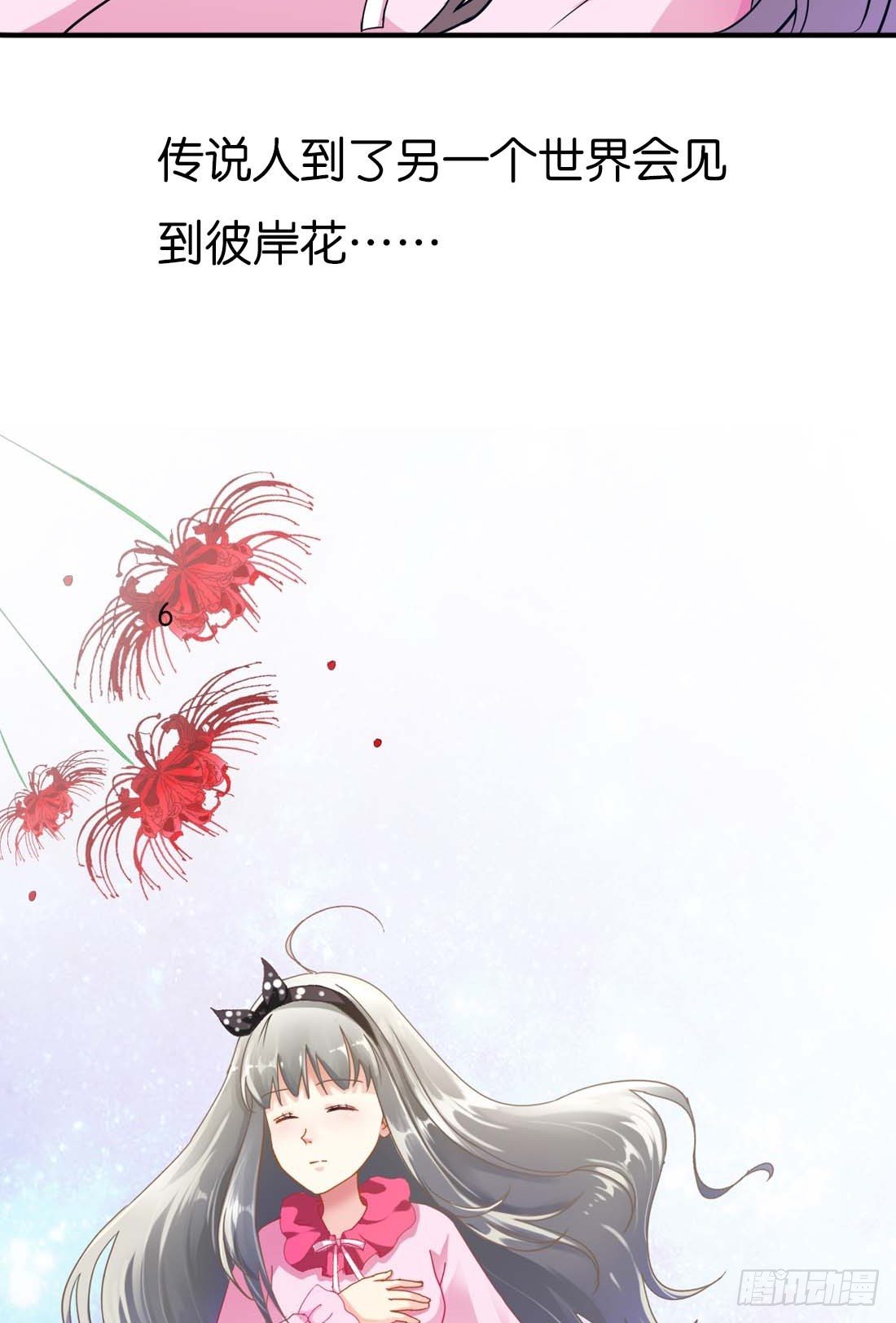 《通天嗜宠（这些神兽有点萌系列）》前传-撑死的悲剧 第13页