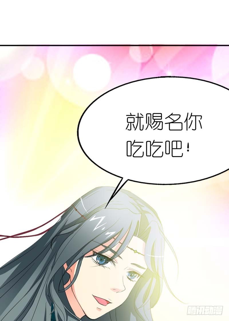 《通天嗜宠（这些神兽有点萌系列）》前传-这起名太随意了吧 第5页