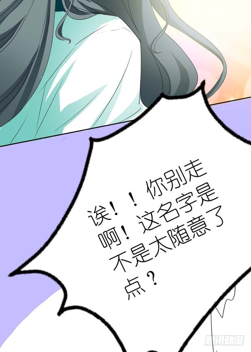 《通天嗜宠（这些神兽有点萌系列）》前传-这起名太随意了吧 第6页