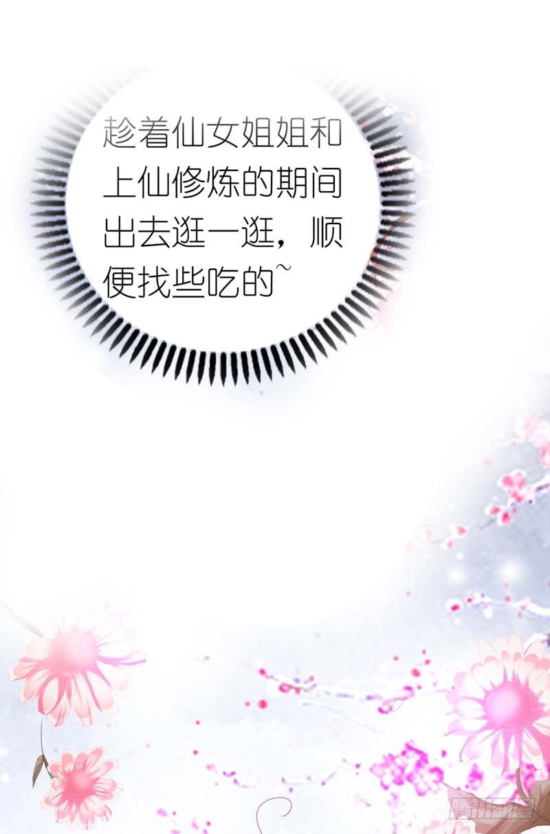 《通天嗜宠（这些神兽有点萌系列）》前传-没人能禁止我 第10页