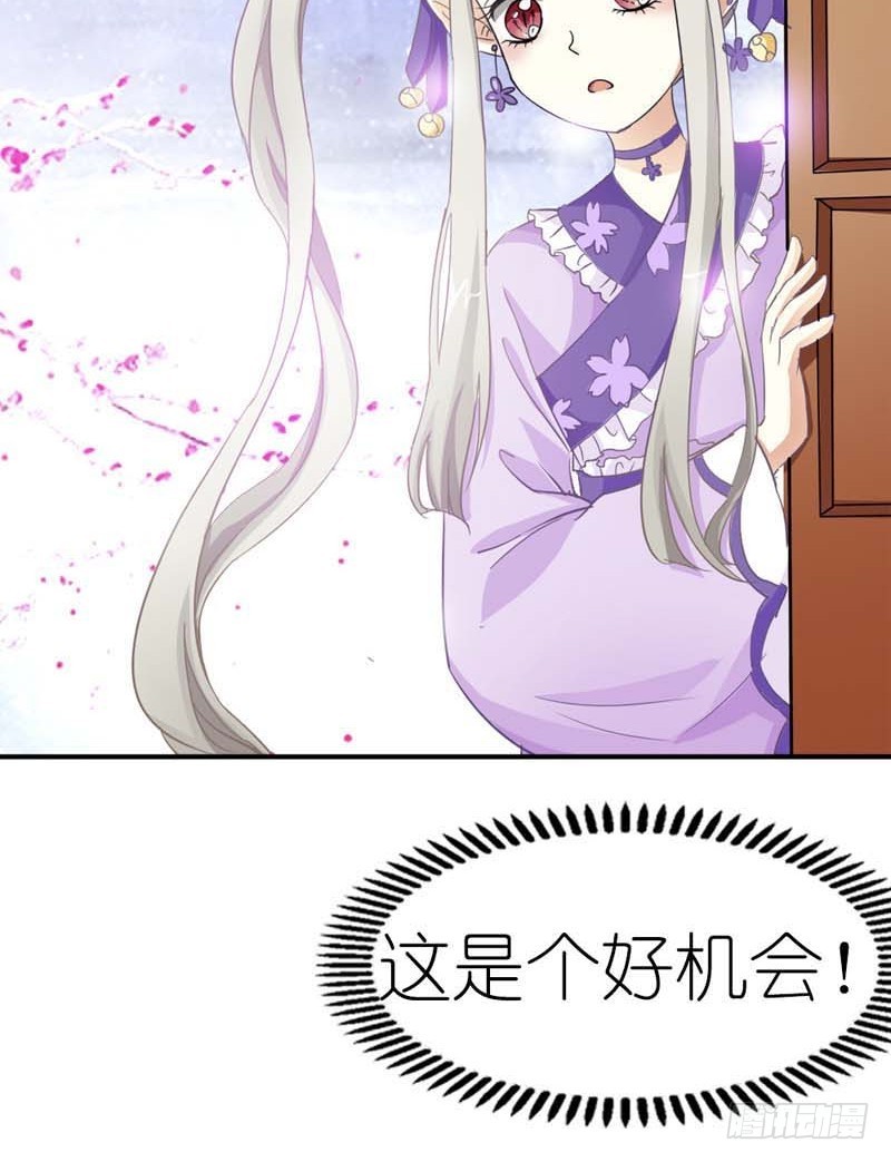 《通天嗜宠（这些神兽有点萌系列）》前传-没人能禁止我 第13页