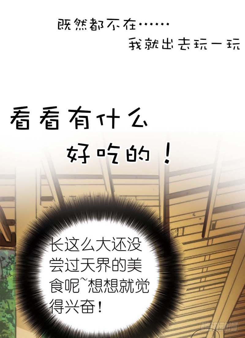 《通天嗜宠（这些神兽有点萌系列）》前传-没人能禁止我 第14页