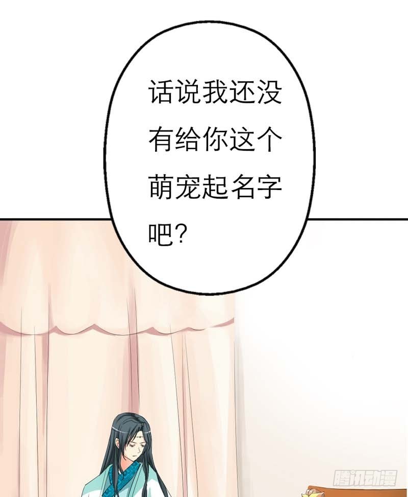 《通天嗜宠（这些神兽有点萌系列）》前传-我也很绝望啊 第13页