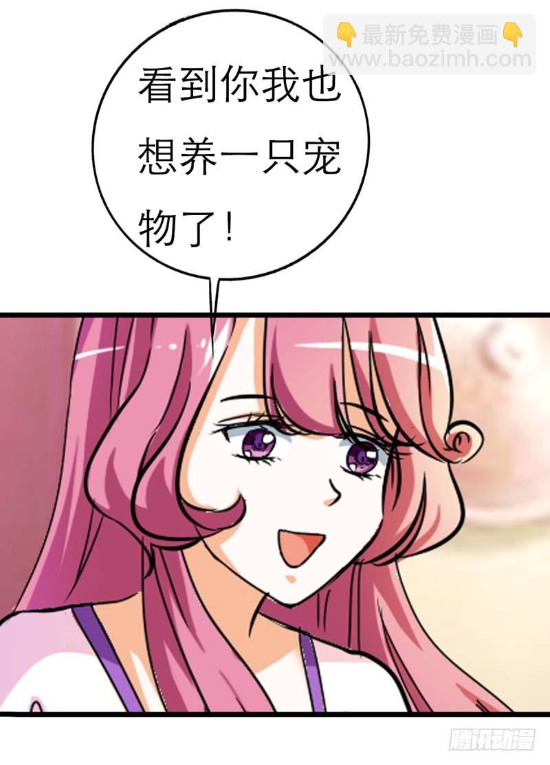 《通天嗜宠（这些神兽有点萌系列）》前传-有后台就是好 第14页