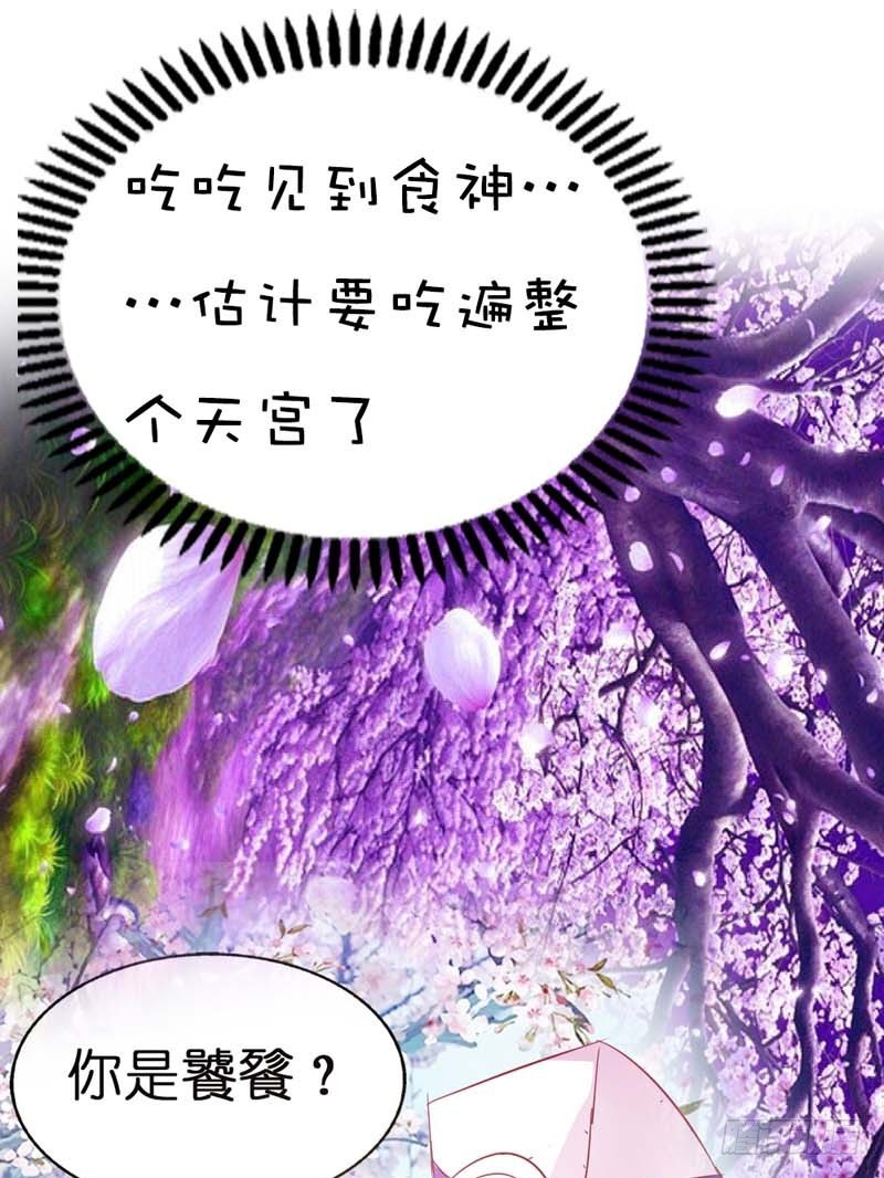 《通天嗜宠（这些神兽有点萌系列）》前传-胖得连腰都找不到了 第4页