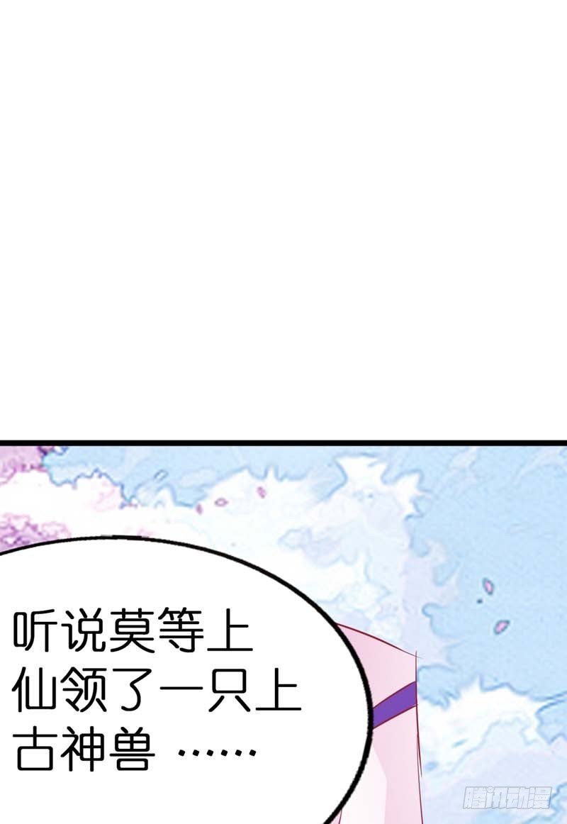 《通天嗜宠（这些神兽有点萌系列）》前传-胖得连腰都找不到了 第6页