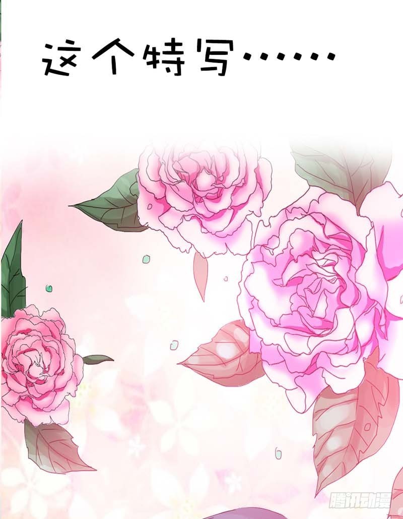 《通天嗜宠（这些神兽有点萌系列）》前传-伦家会不好意思 第14页