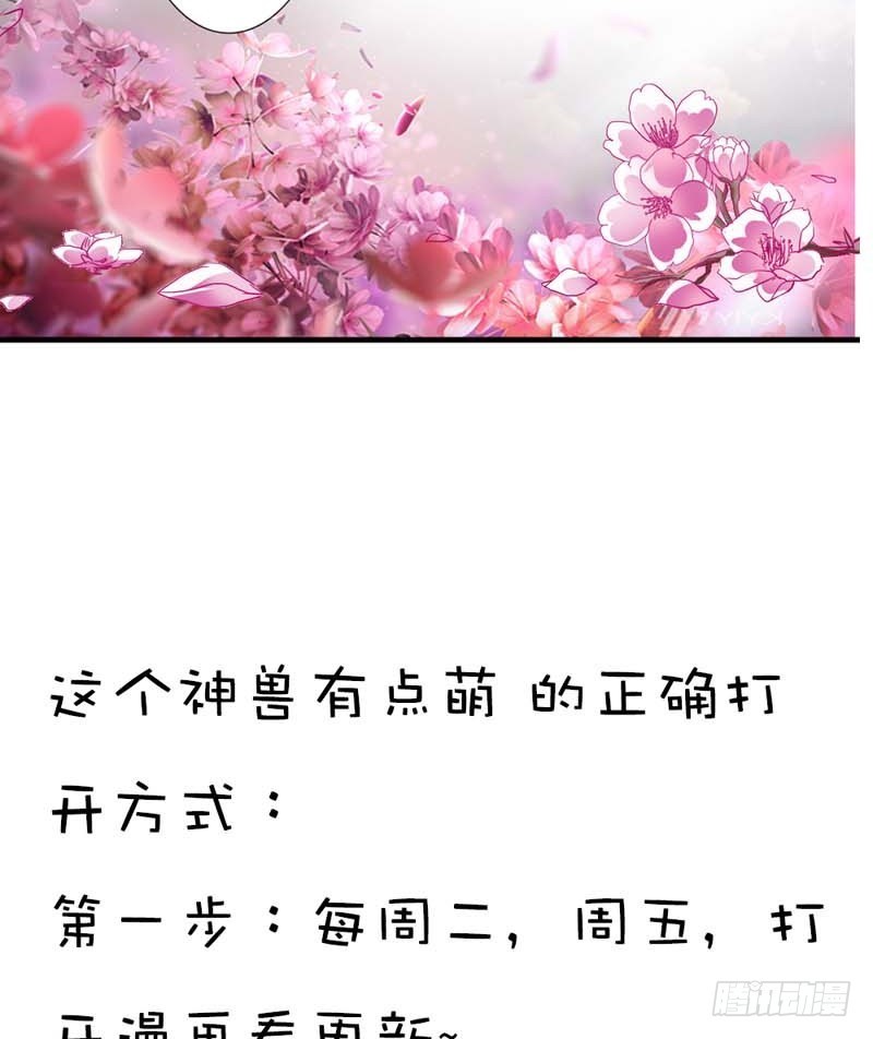 《通天嗜宠（这些神兽有点萌系列）》前传-只要千鹤你能活下去 第37页