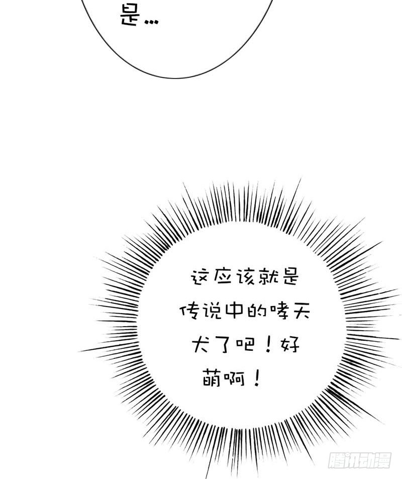 《通天嗜宠（这些神兽有点萌系列）》前传-好可爱的哮天犭 第29页