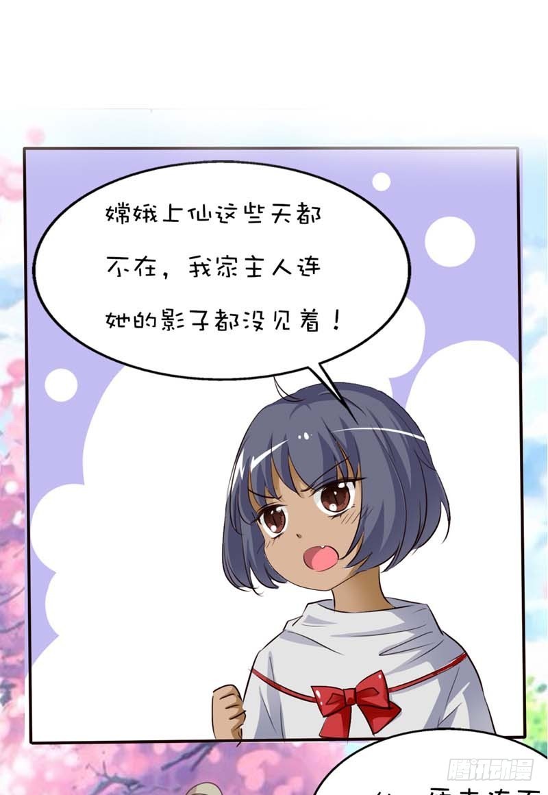 《通天嗜宠（这些神兽有点萌系列）》前传-八卦神仙 第19页