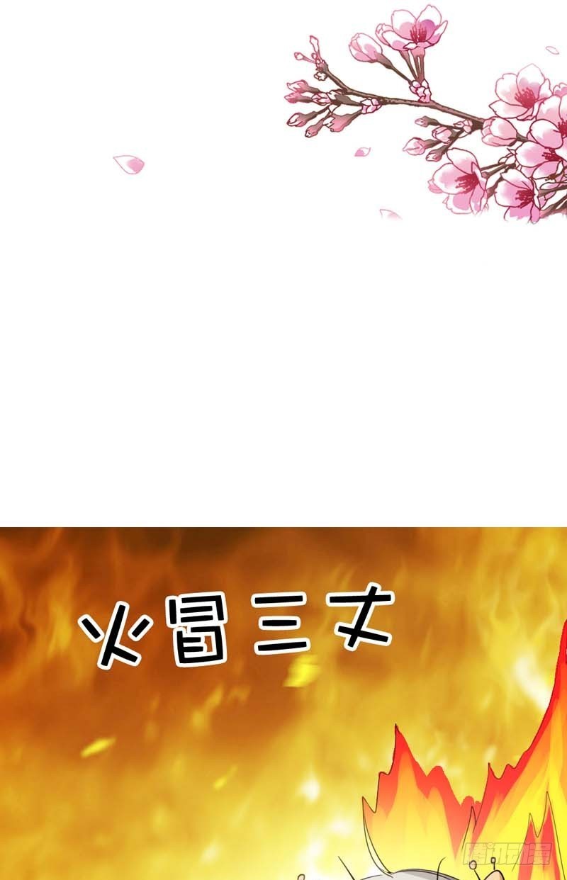 《通天嗜宠（这些神兽有点萌系列）》前传-美食节的人选 第4页