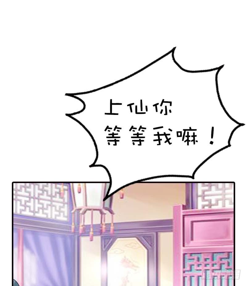 《通天嗜宠（这些神兽有点萌系列）》前传-就知道欺负我 第10页