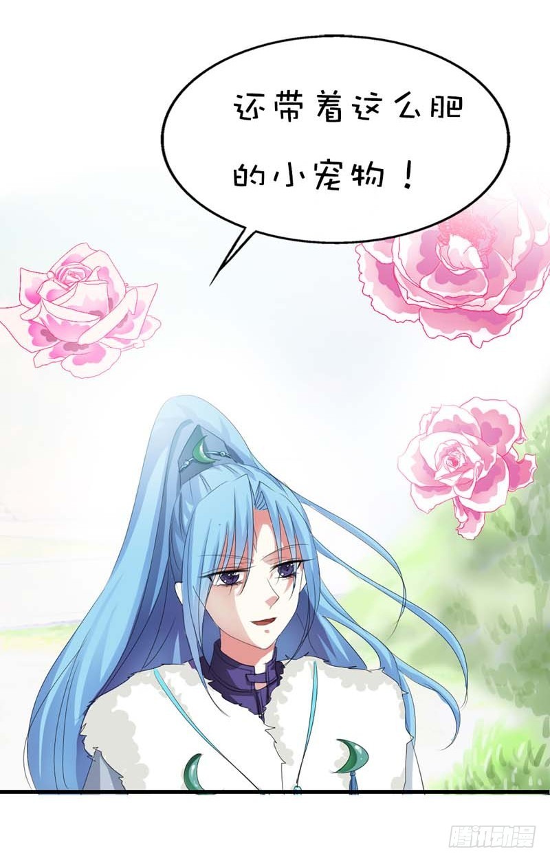 《通天嗜宠（这些神兽有点萌系列）》前传-就知道欺负我 第27页