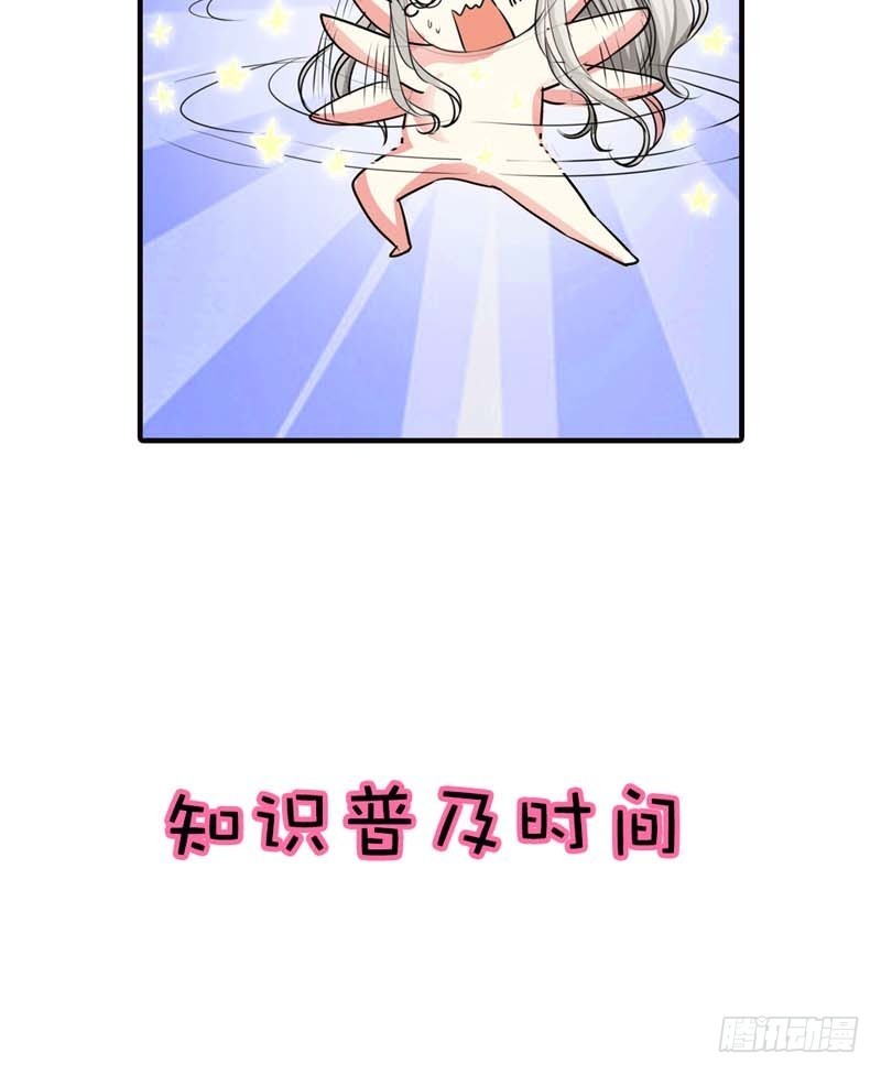 《通天嗜宠（这些神兽有点萌系列）》前传-看你这表情 第7页