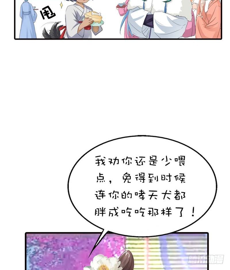 《通天嗜宠（这些神兽有点萌系列）》前传-你是我的小苹果 第26页