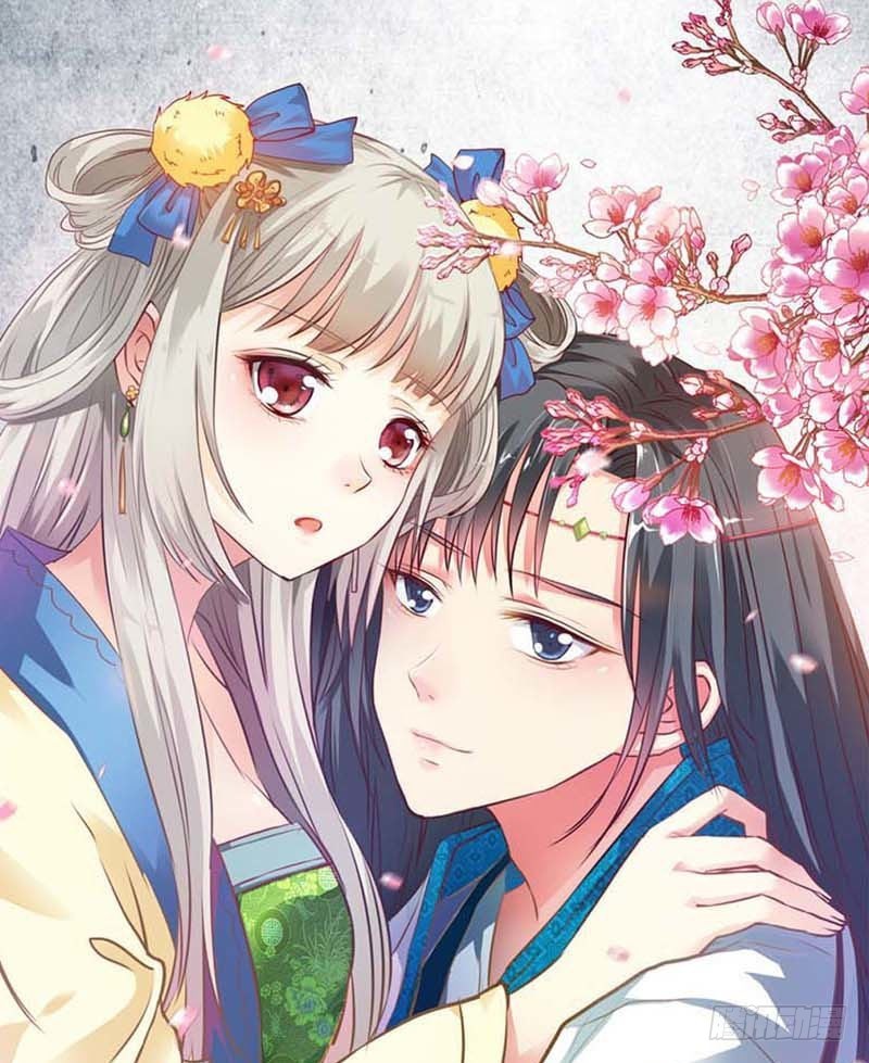 《通天嗜宠（这些神兽有点萌系列）》前传-她不是死了吗 第1页