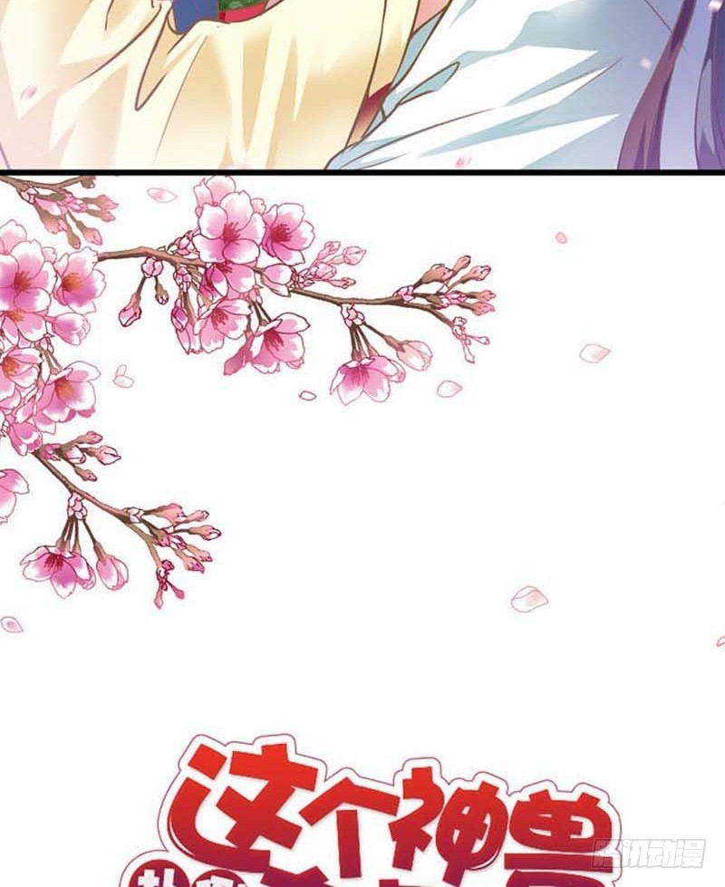 《通天嗜宠（这些神兽有点萌系列）》前传-她不是死了吗 第2页
