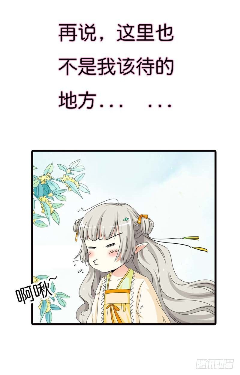 《通天嗜宠（这些神兽有点萌系列）》前传-你这样真让人放心不下 第12页