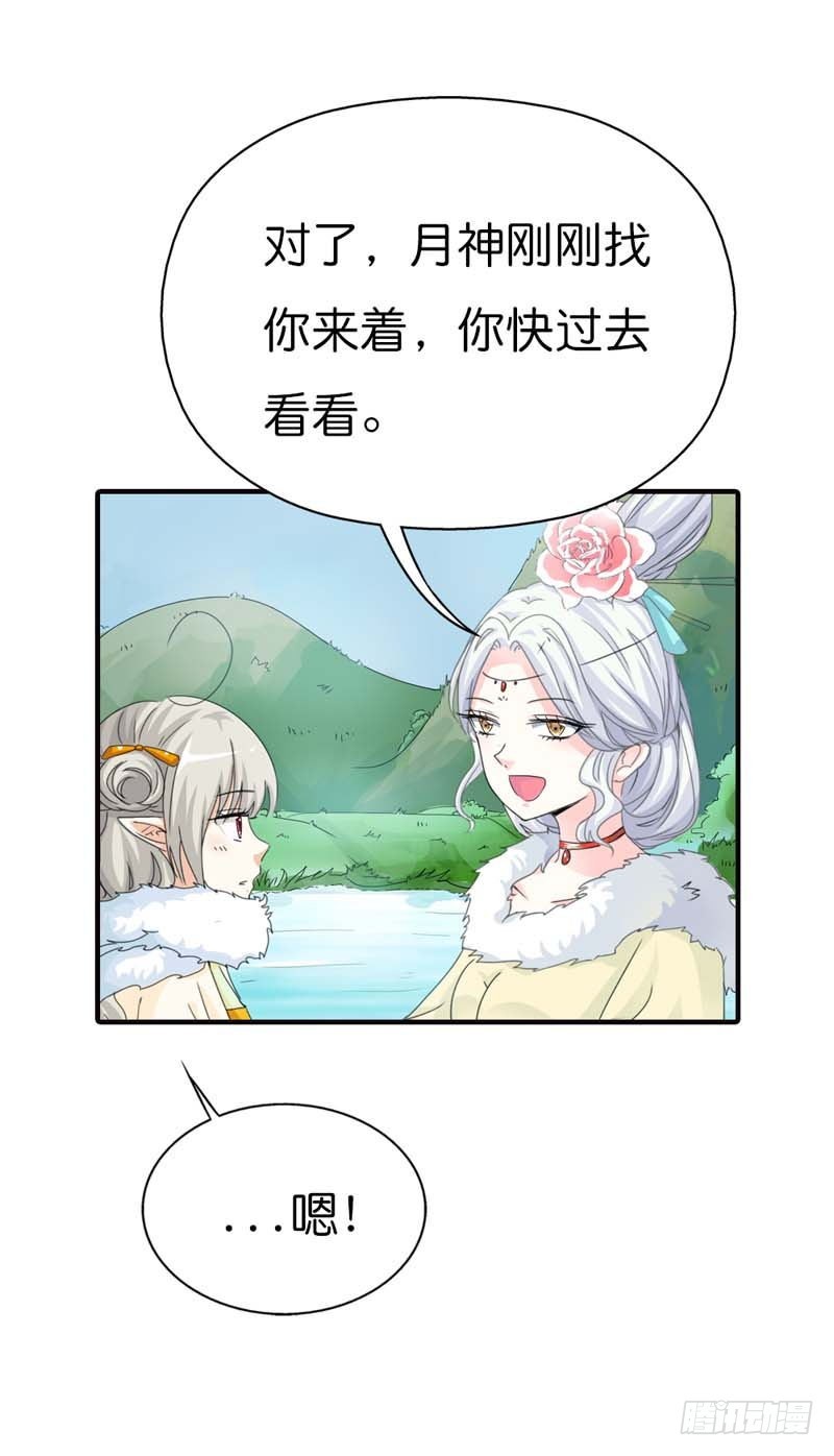 《通天嗜宠（这些神兽有点萌系列）》前传-不能说的秘密 第13页