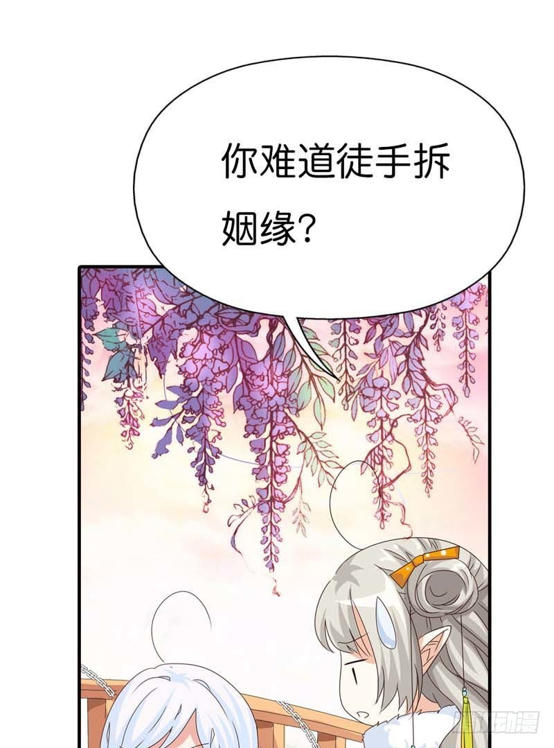 《通天嗜宠（这些神兽有点萌系列）》前传-孽缘啊 第14页