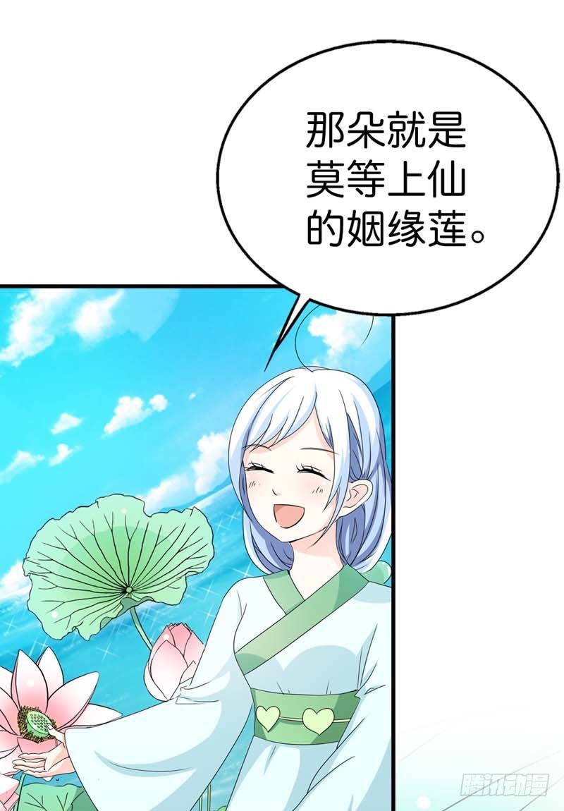 《通天嗜宠（这些神兽有点萌系列）》前传-原来是她乱搭桥啊 第14页