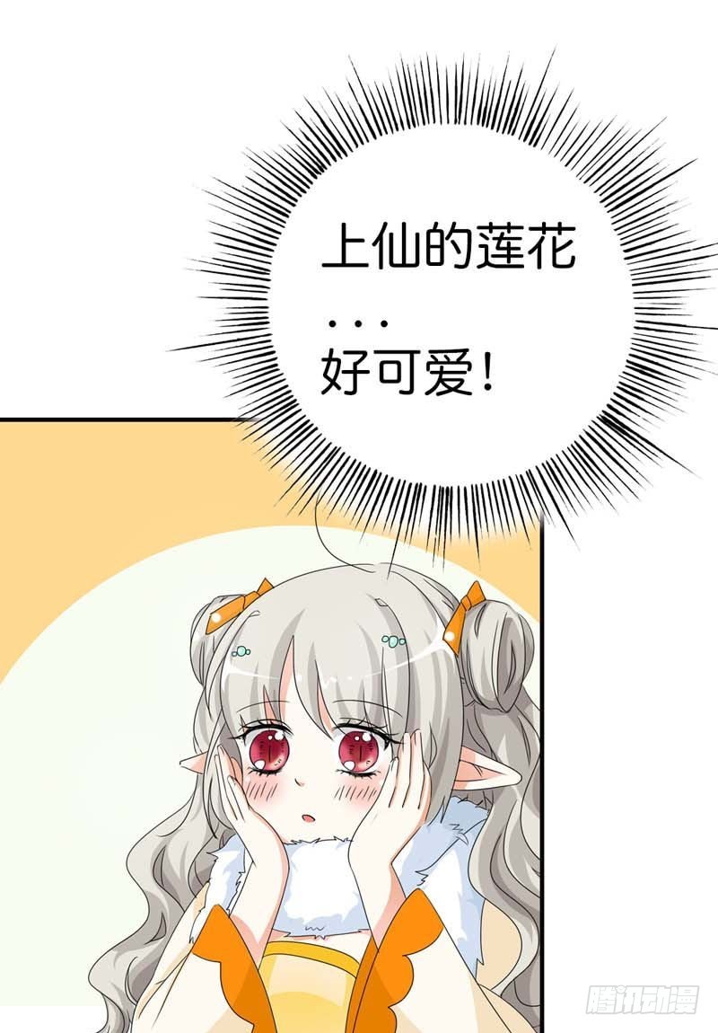 《通天嗜宠（这些神兽有点萌系列）》前传-原来是她乱搭桥啊 第16页