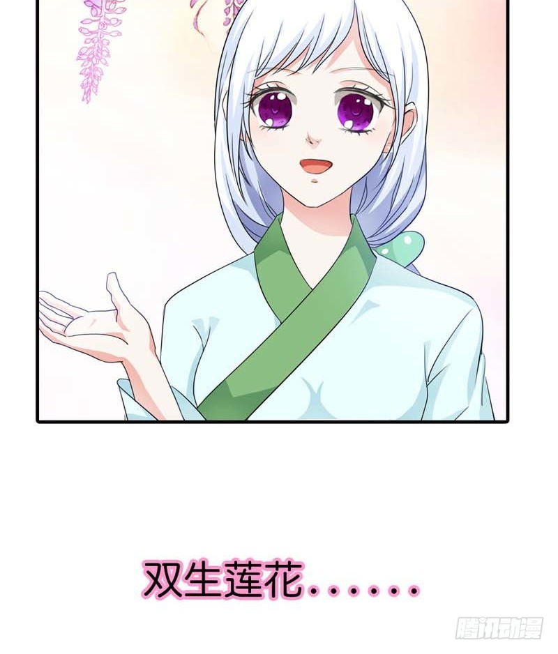 《通天嗜宠（这些神兽有点萌系列）》前传-原来是她乱搭桥啊 第9页
