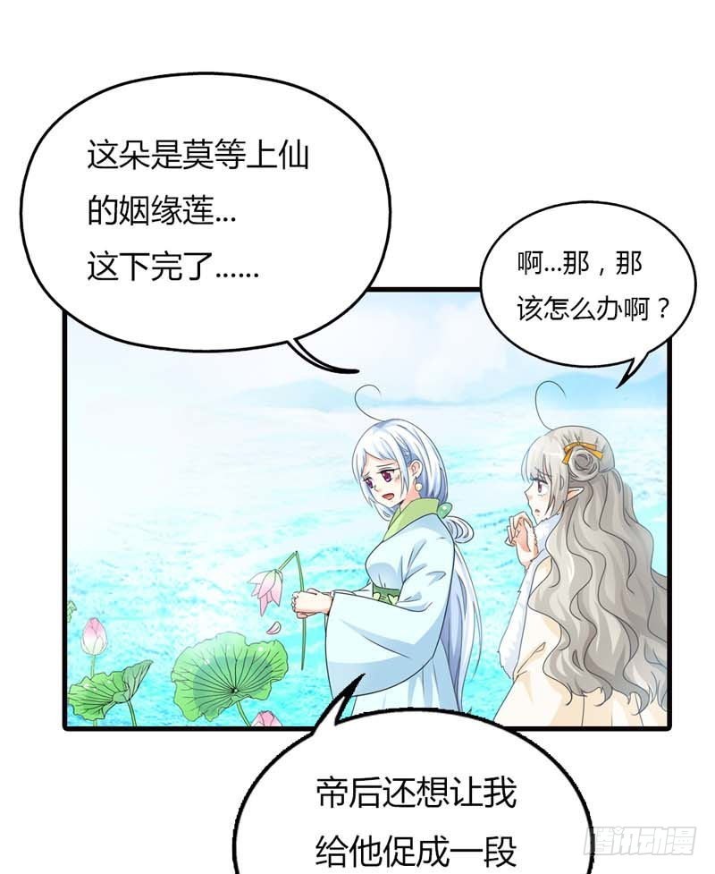 《通天嗜宠（这些神兽有点萌系列）》前传-姻缘莲断了 第15页