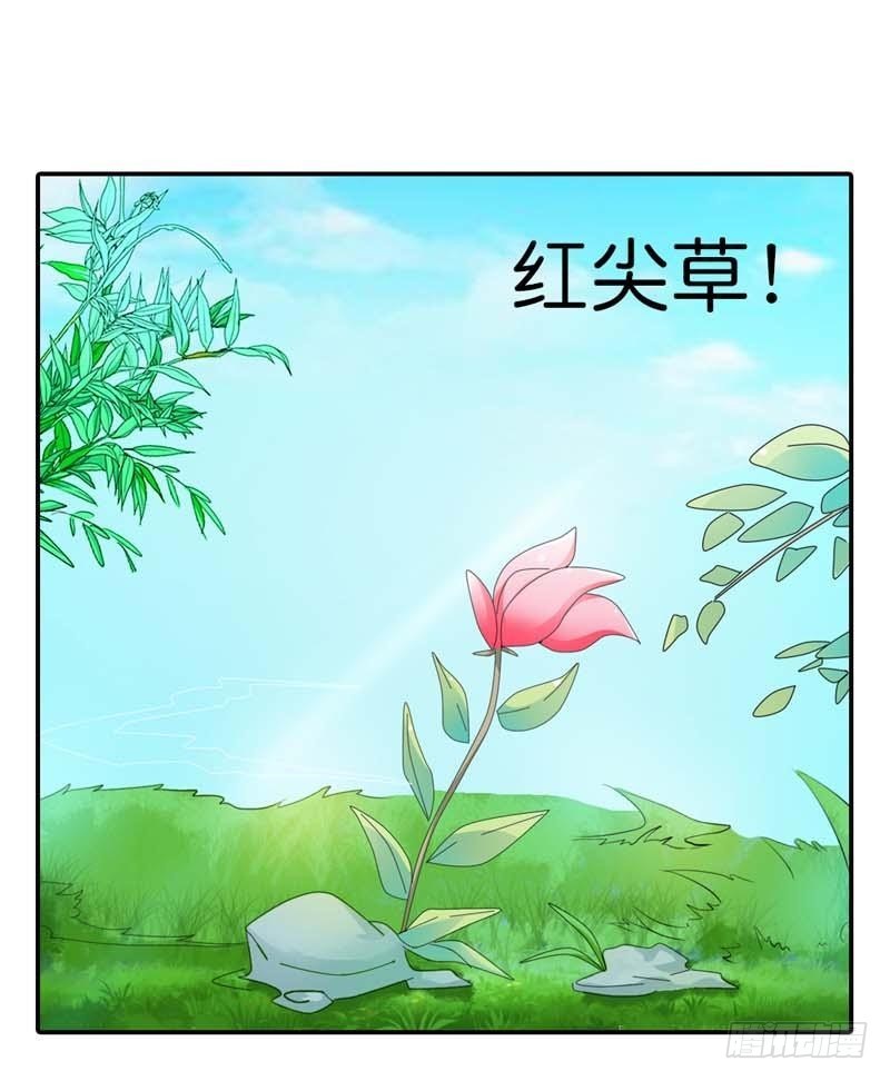 《通天嗜宠（这些神兽有点萌系列）》前传-大胆小妖，你站住！ 第6页