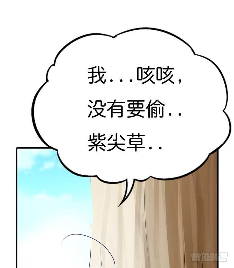 《通天嗜宠（这些神兽有点萌系列）》前传-又能去见阎王了 第11页