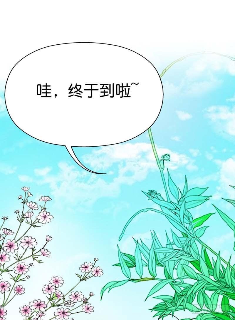 《通天嗜宠（这些神兽有点萌系列）》前传-一定完成任务 第14页