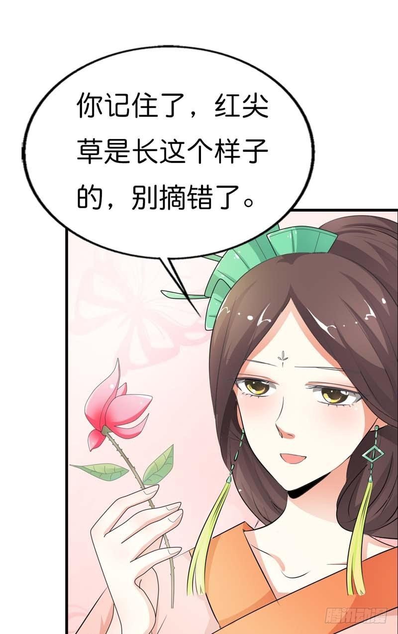 《通天嗜宠（这些神兽有点萌系列）》前传-一定完成任务 第9页