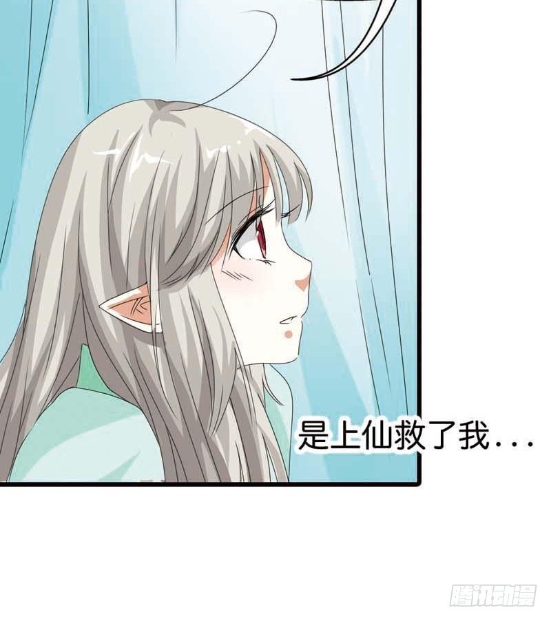 《通天嗜宠（这些神兽有点萌系列）》前传-上仙救我 第14页