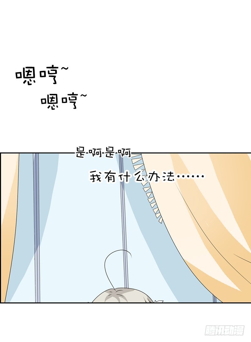 《通天嗜宠（这些神兽有点萌系列）》前传-我都要带走 第2页