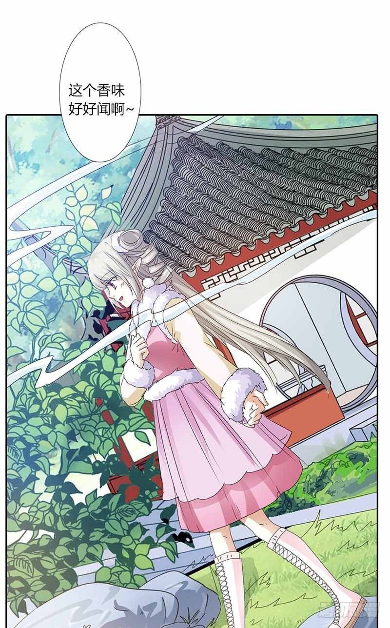 《通天嗜宠（这些神兽有点萌系列）》前传-这仙丹一定很好吃 第5页