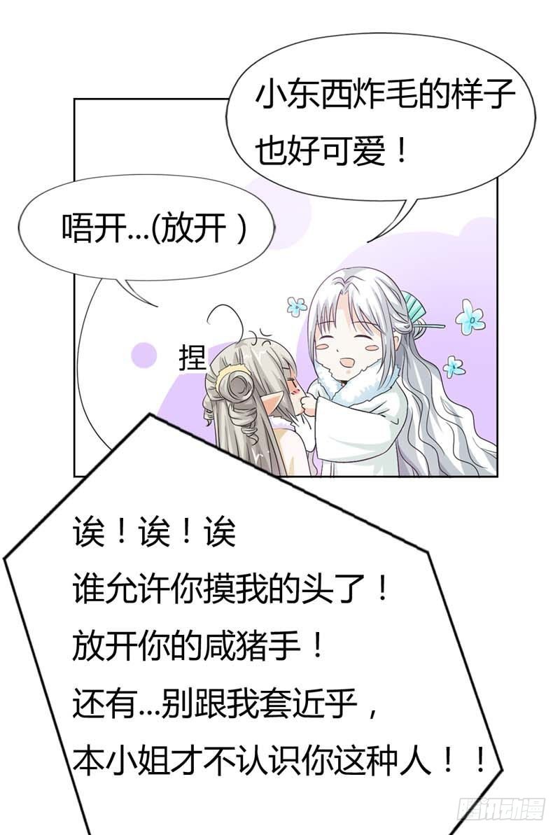 《通天嗜宠（这些神兽有点萌系列）》前传-你不喜欢我吻你吗 第12页