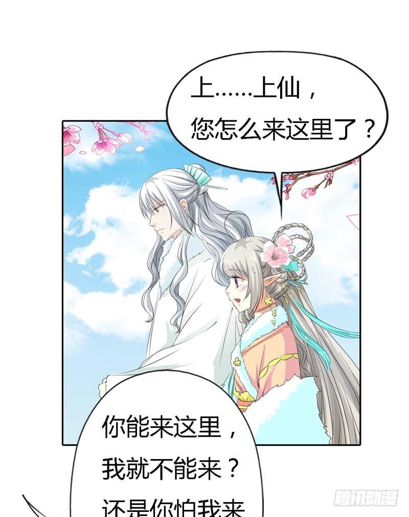 《通天嗜宠（这些神兽有点萌系列）》前传-你不想我找到你？ 第13页