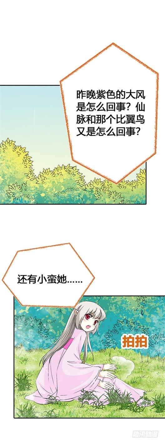 《通天嗜宠（这些神兽有点萌系列）》通天嗜宠-绑架！？ 第2页